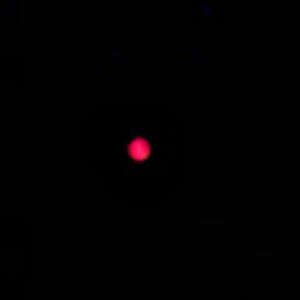 Meet your Posher, Joe